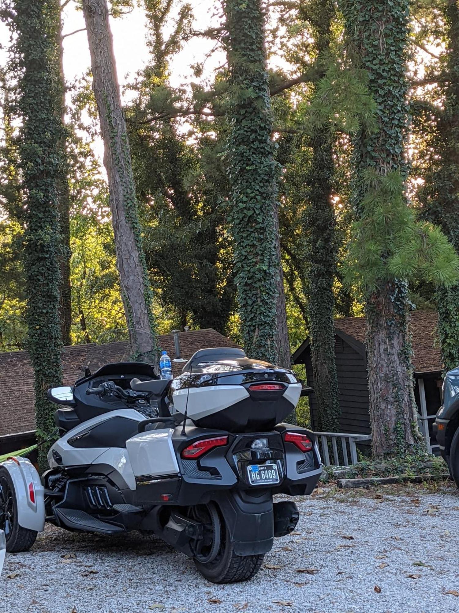 Loblolly Pines Adventure Cabin 2 King 유레카 스프링스 외부 사진
